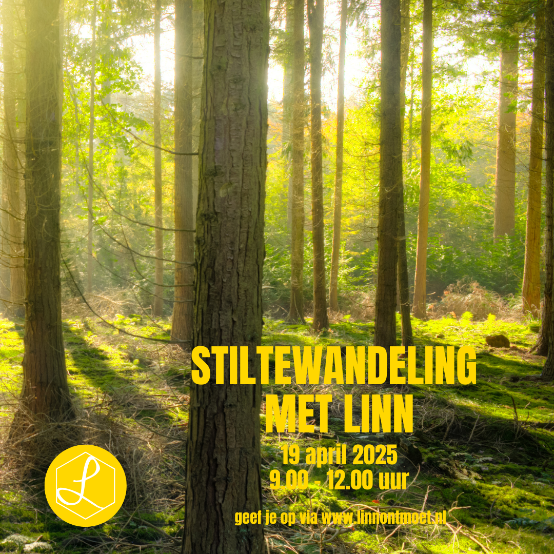 stiltewandeling